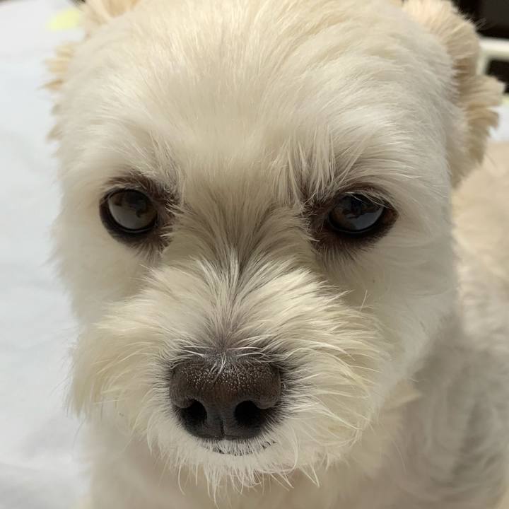 B3d64e41 6892 4c33 89a8 0e8fbe2f1b23 1569076883604