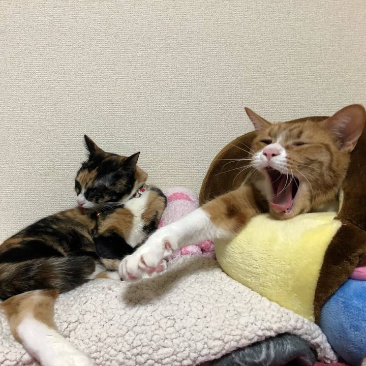 B3d676cf 3027 4fd2 90b7 0953ff990f6e 1583234323855