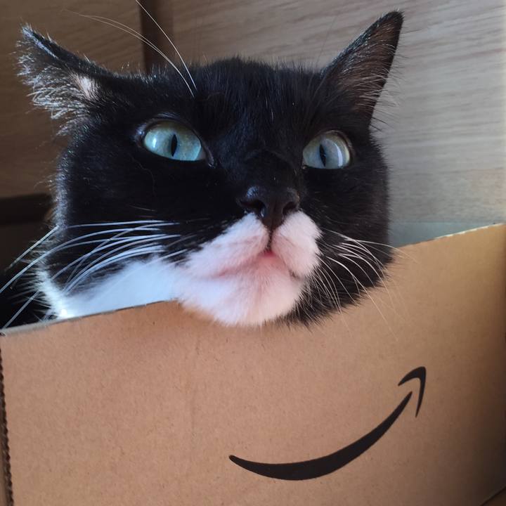 B3d6962e 5ea7 45b9 9565 3f94d208990d 1533947580068