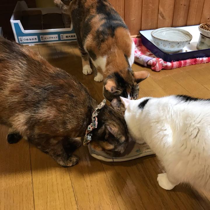 B3d6c06d db6a 4e87 b370 5fb15e3aa09e 1646303193486