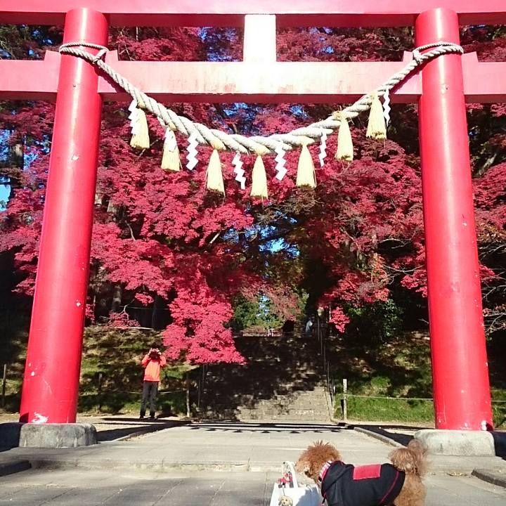 B3d6d7aa 053b 4c91 bc44 ff60d7c19d7d 1510793110100