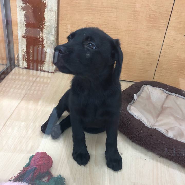 B3d6f3eb cf74 4994 bf05 9b0b3ab98a55 1570610339965