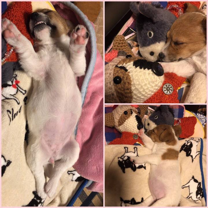 B3d71f06 54b5 431a acc6 b73fbee6088e 1543582655202