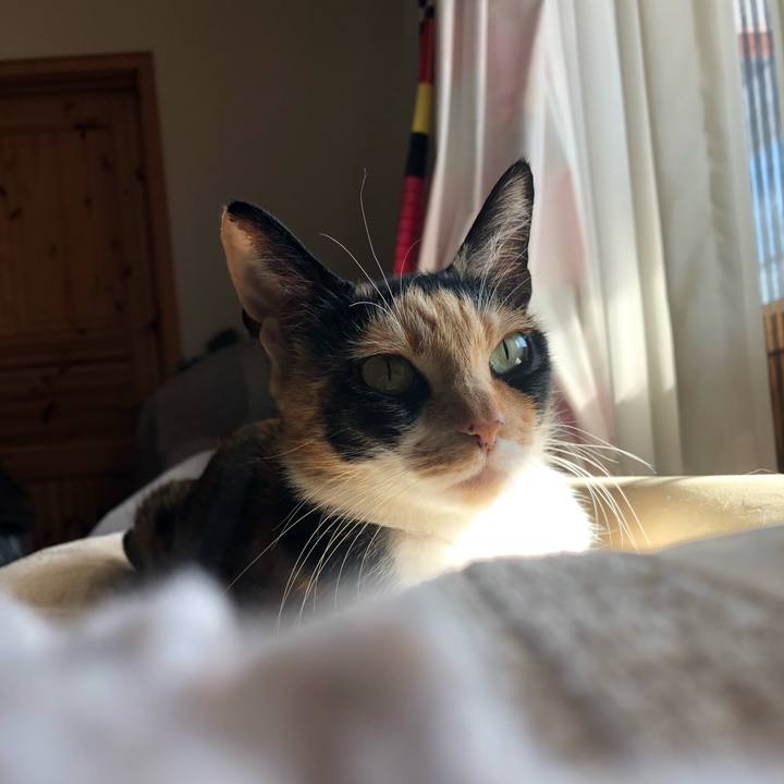 B3d72282 cafb 41fa b43d b1c23122b996 1609040346052