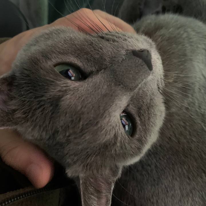 B3d73370 48dd 46a7 90f4 ca1bf61bb25c 1669469431801