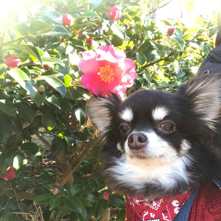 B3d73722 3395 4163 9060 d5b12888b46b 1578026044541