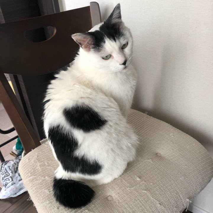 B3d7615d 7c2c 408a b6c0 ba8da72588d4 1586993793913