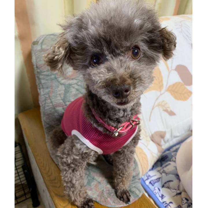 B3d76a65 ddcd 4f7f 9d05 fa83aff8218e 1625307958324