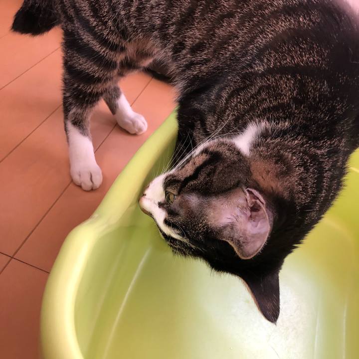 B3d76be5 9580 4984 b778 af4f4b874b98 1527827198690