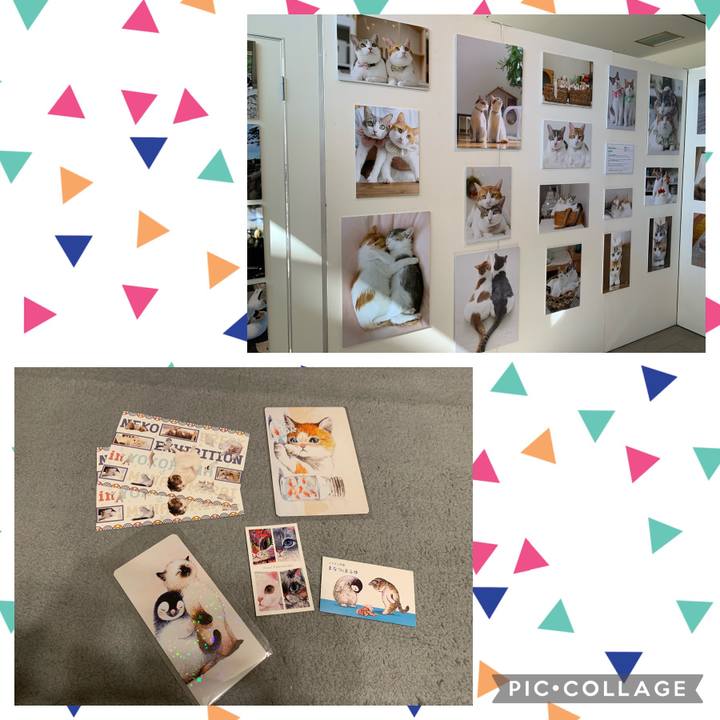 B3d77cb4 b99b 4383 b6fd dd9fdc49f41c 1634992039759