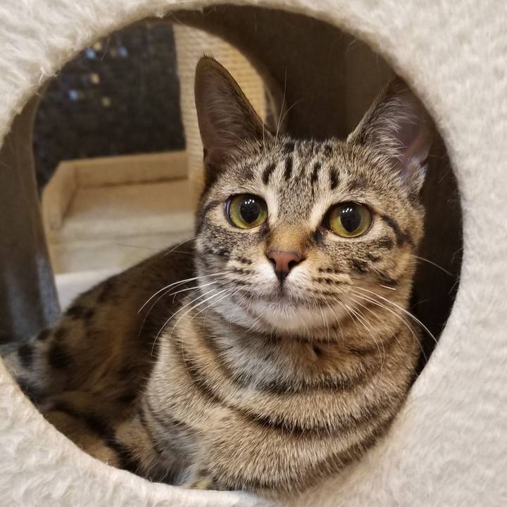 B3d78cd1 332a 4a7f 8212 ea72533add3e 1554372327472