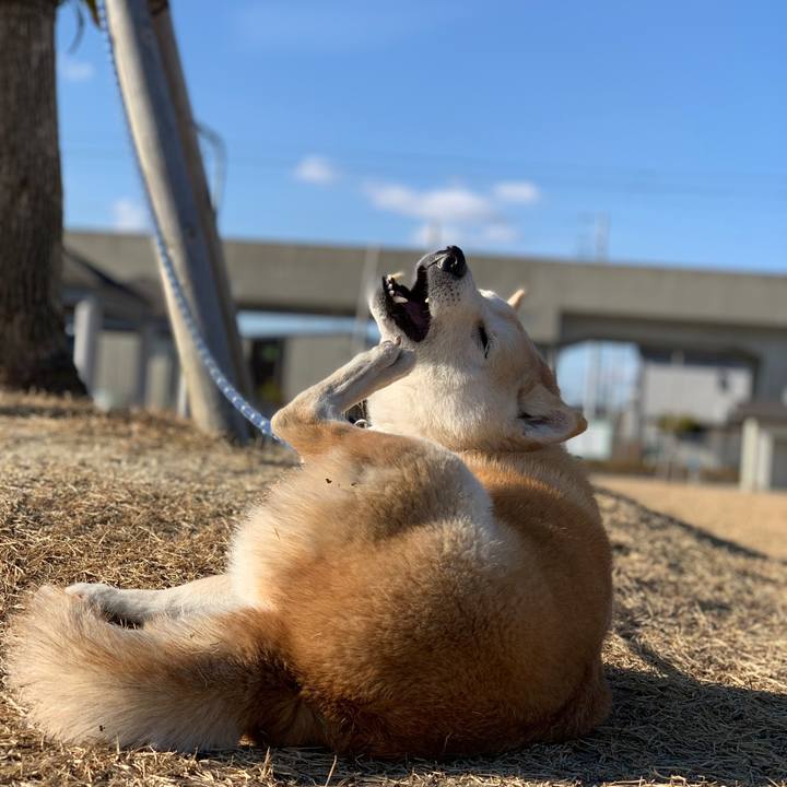 B3d78d38 0e0f 43e2 b33f 9dbd70360651 1554943958637