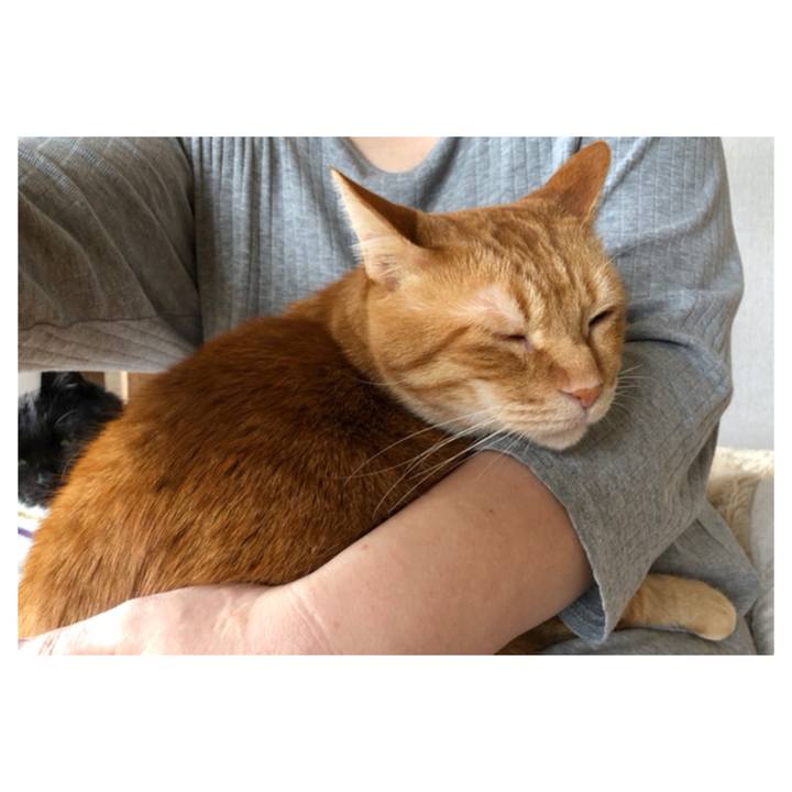 B3d7b719 1a7b 455c a393 1e7d704d6912 1591410464771