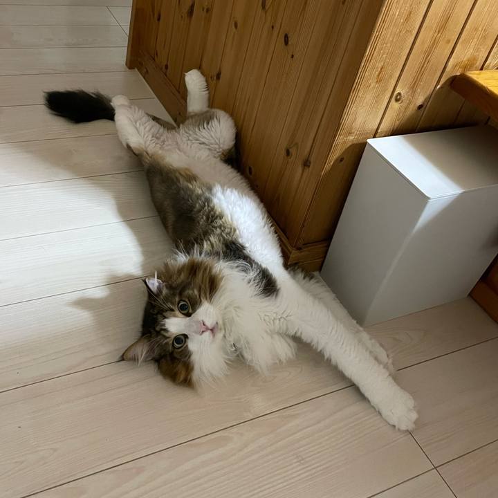 B3d7bf68 ed2c 4ceb 8e32 67c3e3fae419 1723145862636