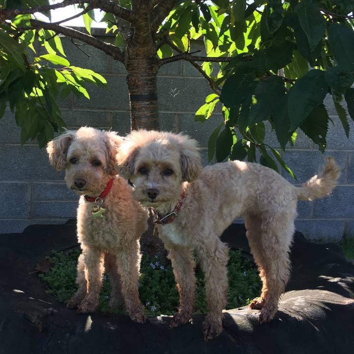 B3d7fb33 b86f 4241 b46e a930f36df1f7 1568715666183