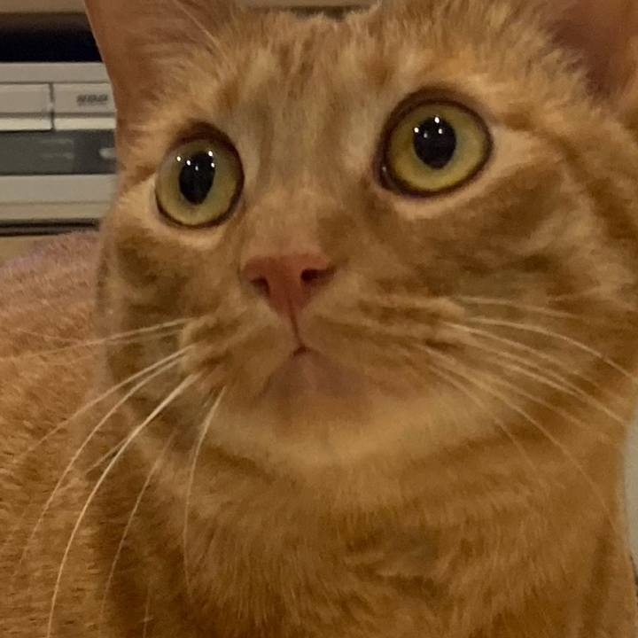 B3d7fd4e a3e8 40b3 a01e 4b29822931ff 1617711520391