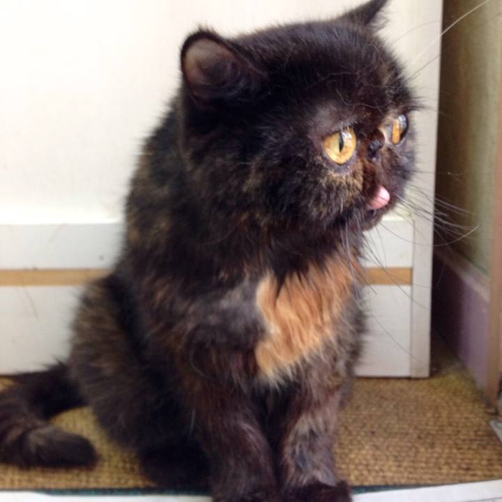 B3d89733 507a 4c30 b44f 6316f45e3cef 1512262774835