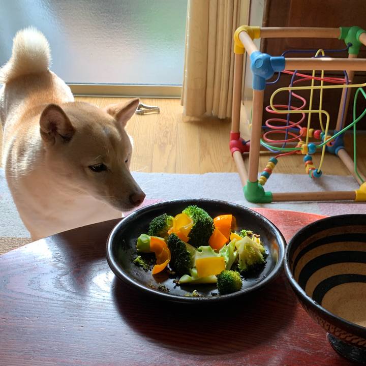 B3d897cb 39f2 4ef9 a21a 78609702d2c7 1646095409200