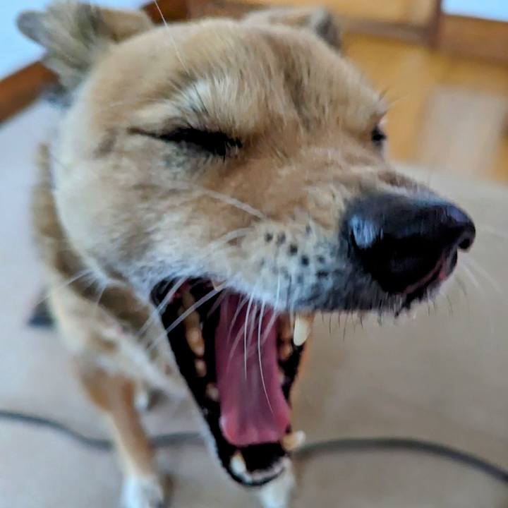 B3d8b1d7 69a1 48fd a1d1 217560fd4794 1723956925582