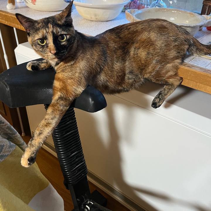 B3d8d2ed e4b1 487f 9318 6847a93dd6b5 1690583412846