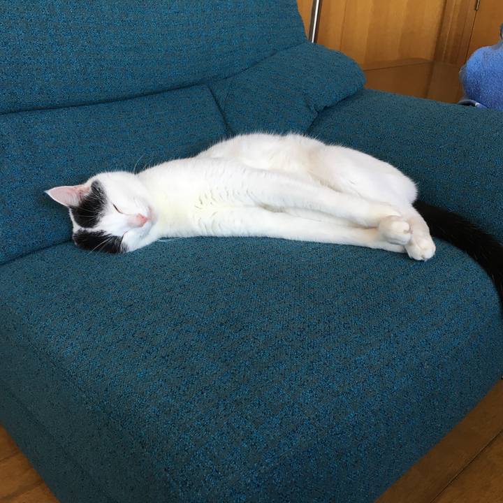 B3d8f196 2a27 4226 b33c 24b33b32921e 1533113354421