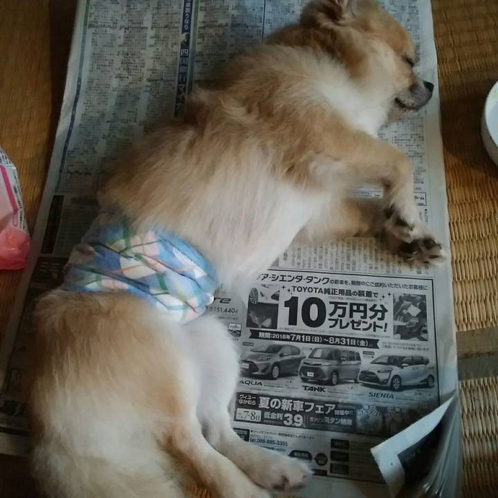 B3d8ff6e b221 46a6 a454 478701468959 1530932670688