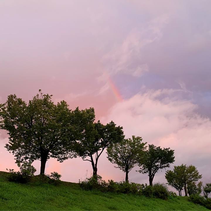 B3d901ee ee40 44f2 91ea 1d912b0ce75b 1630746811306