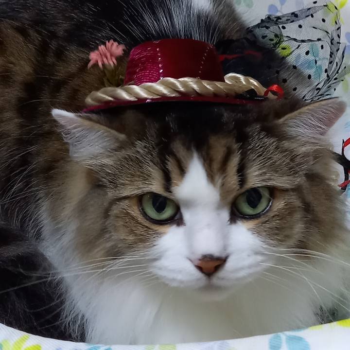 B3d90249 313e 4313 aefc fd96e2367937 1663721180643