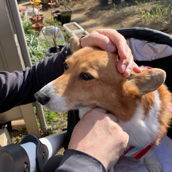 B3d9075b d7e8 4b8a 8327 1e8181a00713 1674717591276