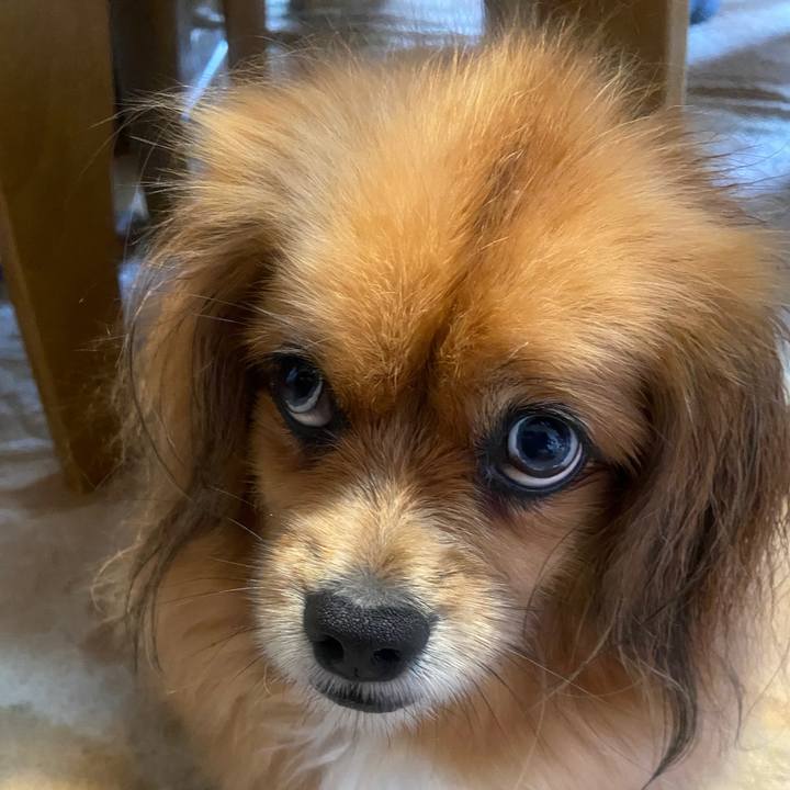 B3d925ff 3606 45ed 95c1 acb9390536a1 1655596898853