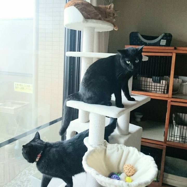 B3d92c28 6ff5 4edb 89ce a966de9a44be 1530855819892