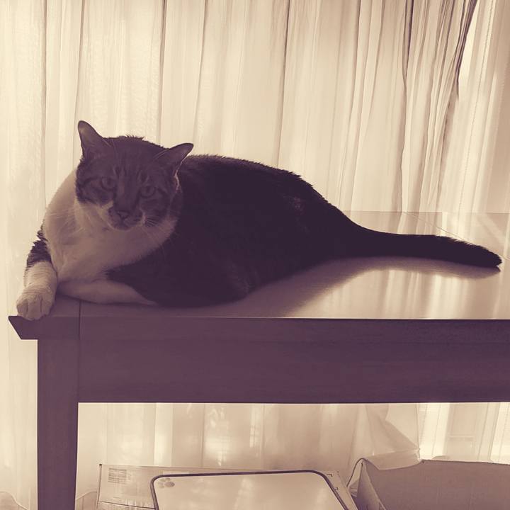 B3d93006 ce01 4269 90fc b91075f0de82 1633304713246