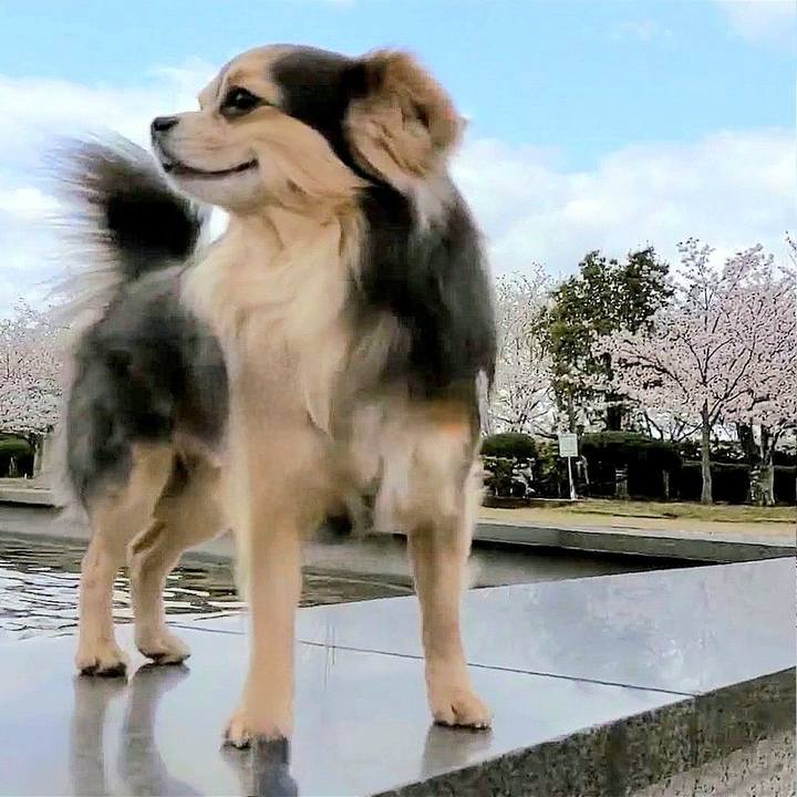 B3d931e3 216f 42bf a78e 23c11385f06a 1759400972659