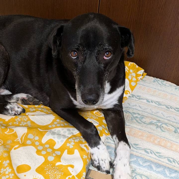 B3d9568b e64a 45fe 9cdb 0ca9dd1550a1 1728520477278