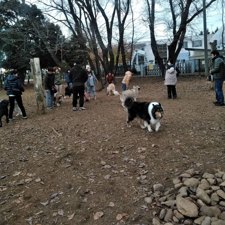 B3d966f6 b262 4a89 856c 2c5a7b1763ab 1544276818900