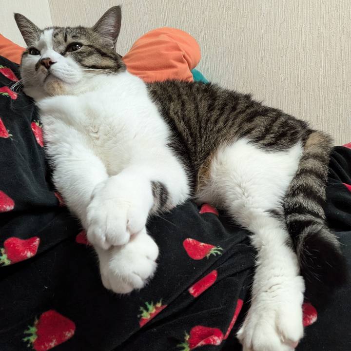 B3d99ac5 91e8 4d97 af72 6b253c198b10 1733792442587