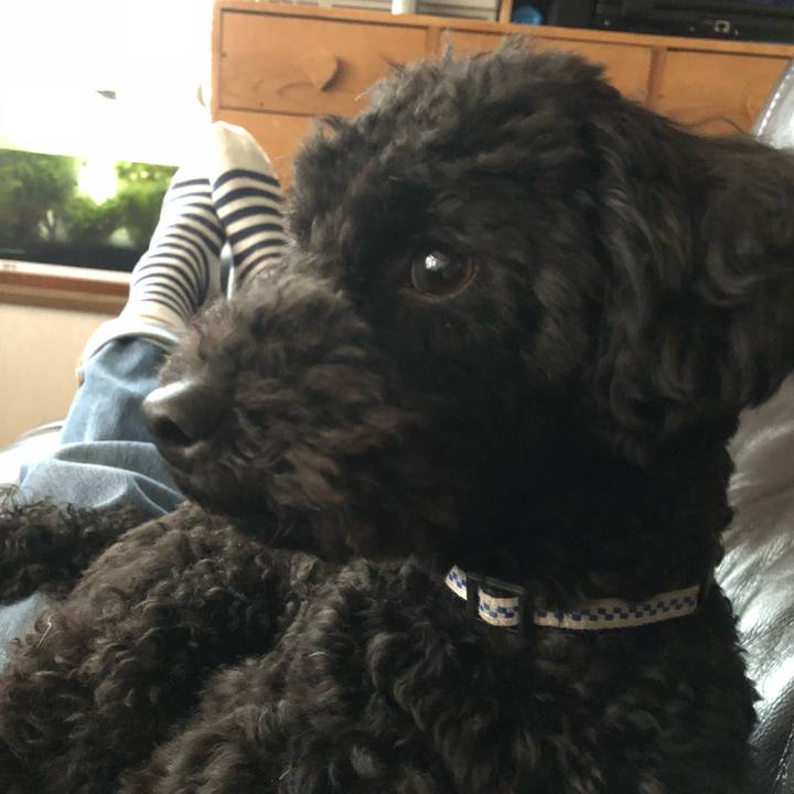 B3d9a65f 1416 4dad b7f1 04aed5e6d654 1524062173495