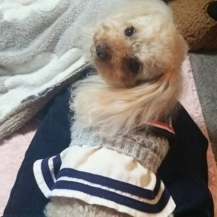 B3d9b227 b4b0 4141 9934 d1bf89f715b0 1521202147135