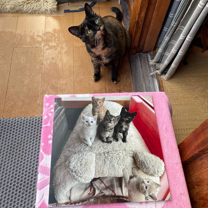 B3d9c4eb aa44 4991 b3ff 8862e05126bb 1763303818356