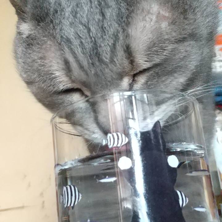 B3d9f302 8672 4c65 89e5 61d28eb539c0 1620077356150