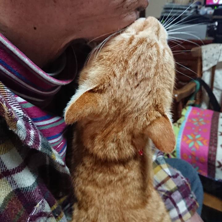 B3da0c17 ae7b 4fc8 8992 ea4cf0235a9a 1577665477722