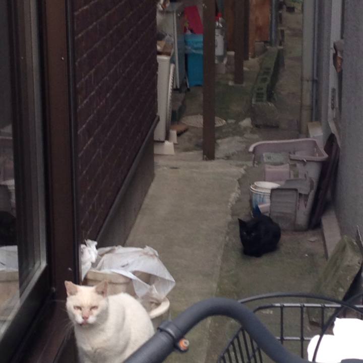 B3da241b be33 4583 a4fe 96653a5f4348 1510318101685