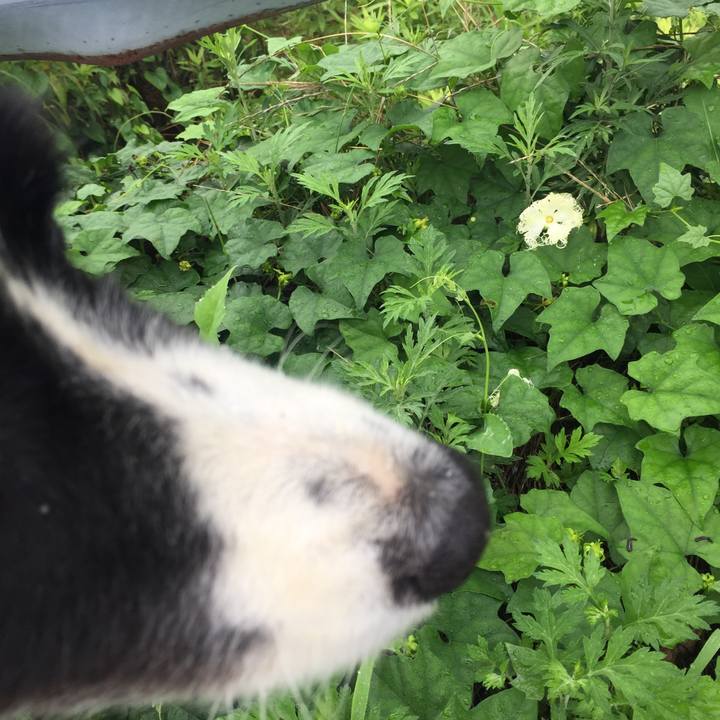 B3da4d55 7803 46b6 8447 63a3959a330f 1562196442958