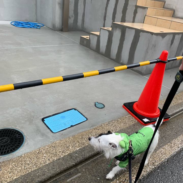 B3da7f1a 5a39 40f2 8799 378e3401c6cf 1653097812680