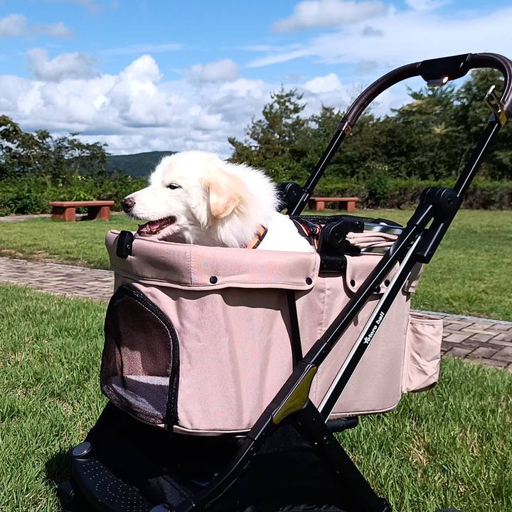 B3da8142 7c1f 4a68 8c3d c0776fb74a48 1758280216226