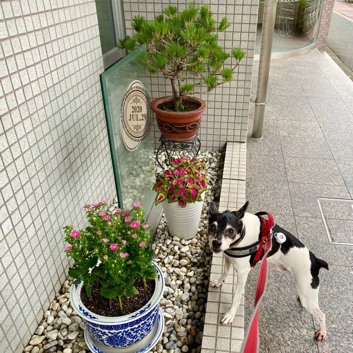 B3da85c2 e7ee 49a5 8ecf 78fa385f44cd 1595977212392