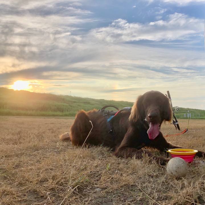 B3da99cf b0d0 461b a8ef fd39d96f82ef 1598308240414