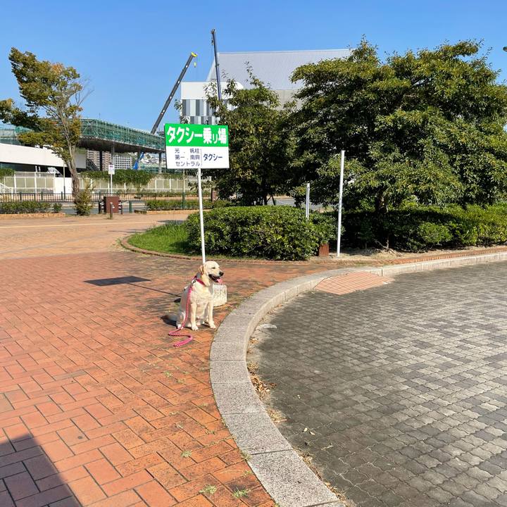 B3dac383 3dbf 437d bff7 b31212764ddd 1633439771514