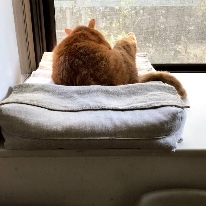 B3dae1c3 e5d4 4794 a3dd 91e16dbff959 1511926450700