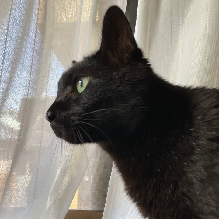 B3dae5c6 312e 4c21 a92e 016678eadf72 1654048911922